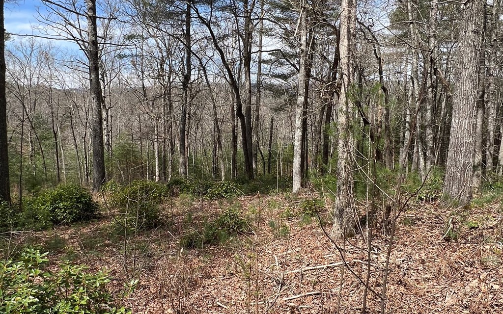 Lot E Timber Ridge #E, HAYESVILLE, North Carolina image 15