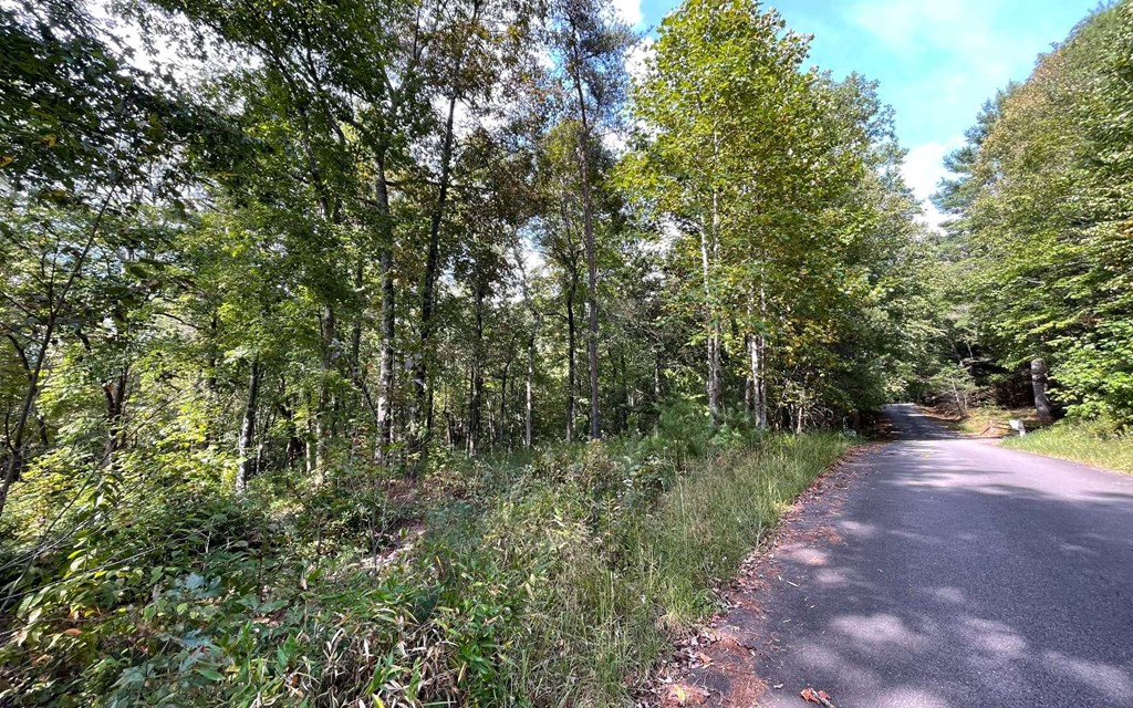 Lot E Timber Ridge #E, HAYESVILLE, North Carolina image 2