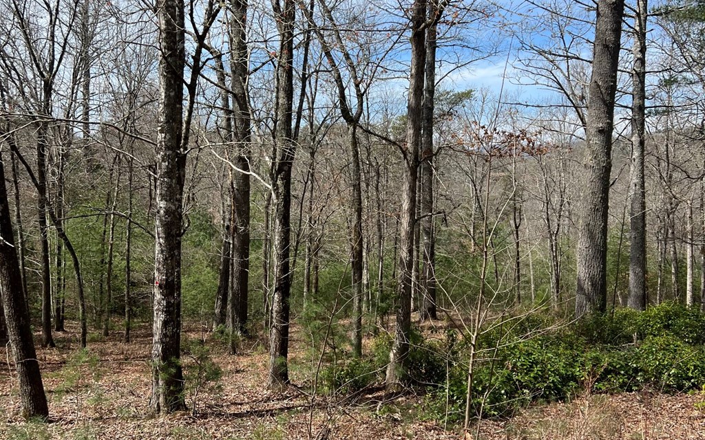 Lot E Timber Ridge #E, HAYESVILLE, North Carolina image 14