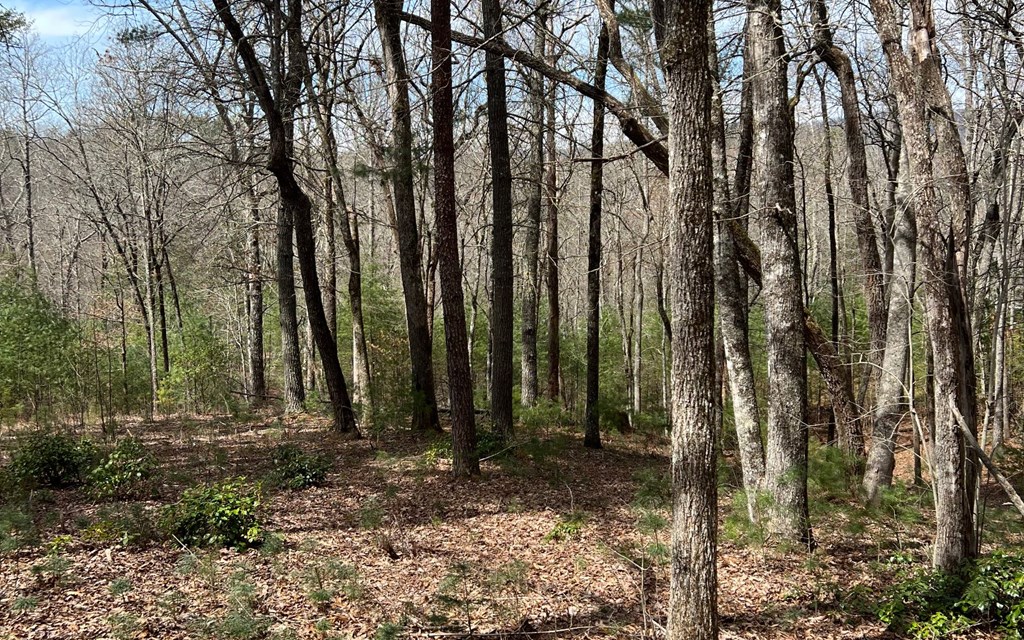 Lot E Timber Ridge #E, HAYESVILLE, North Carolina image 16