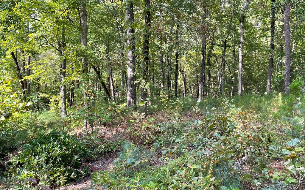 Lot E Timber Ridge #E, HAYESVILLE, North Carolina image 3