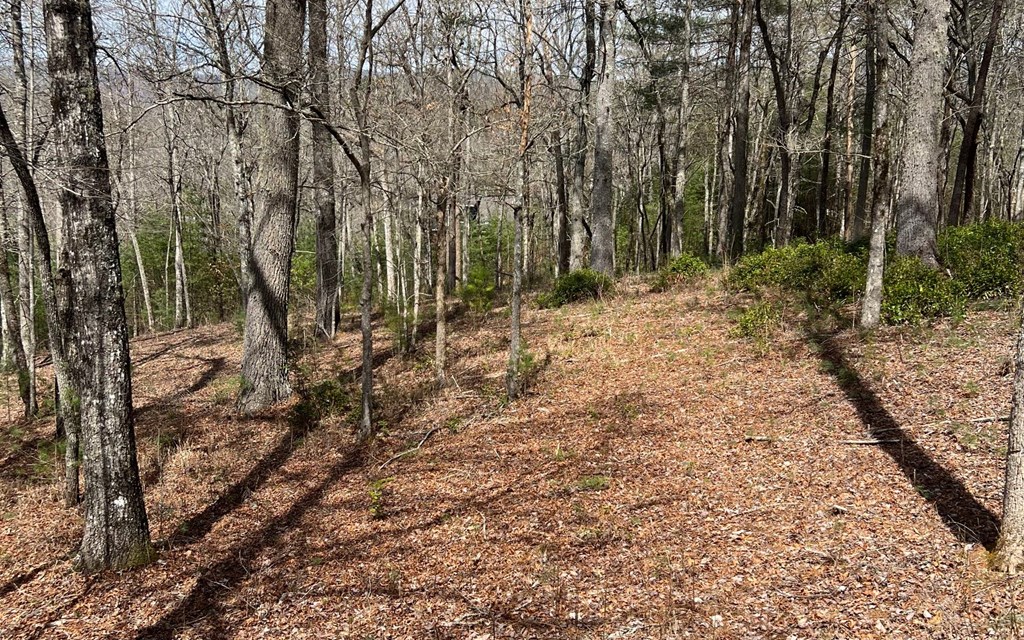 Lot E Timber Ridge #E, HAYESVILLE, North Carolina image 8