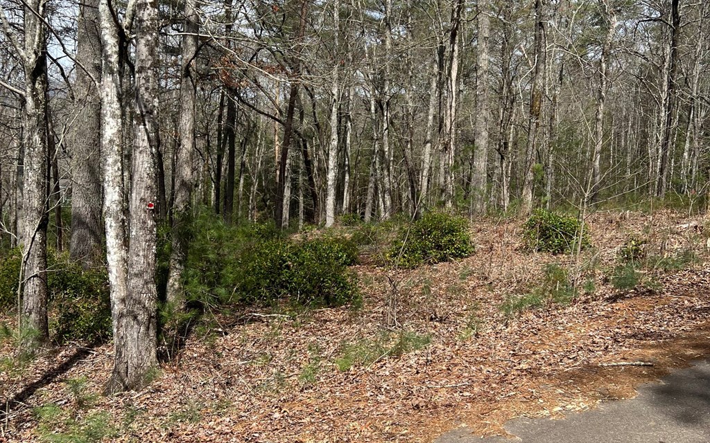 Lot E Timber Ridge #E, HAYESVILLE, North Carolina image 13