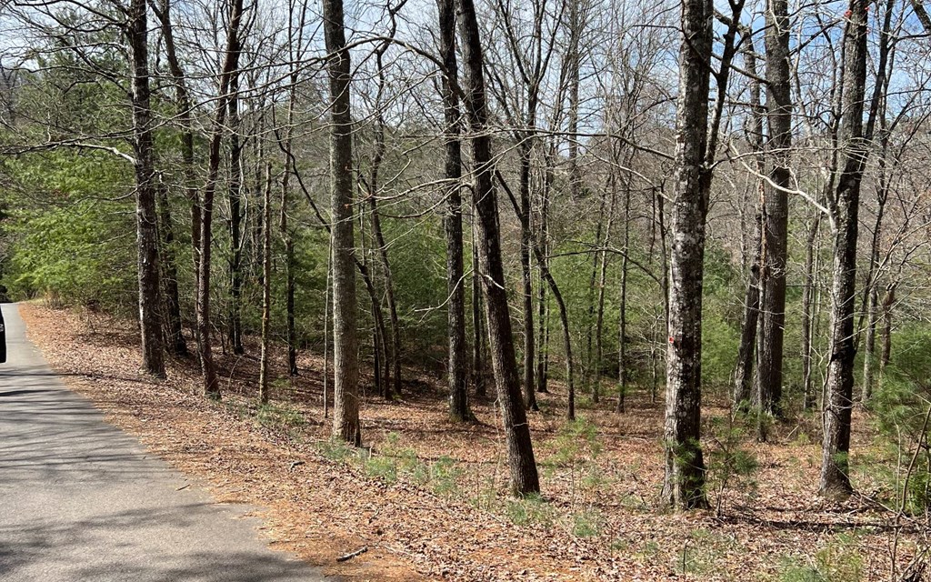 Lot E Timber Ridge #E, HAYESVILLE, North Carolina image 11