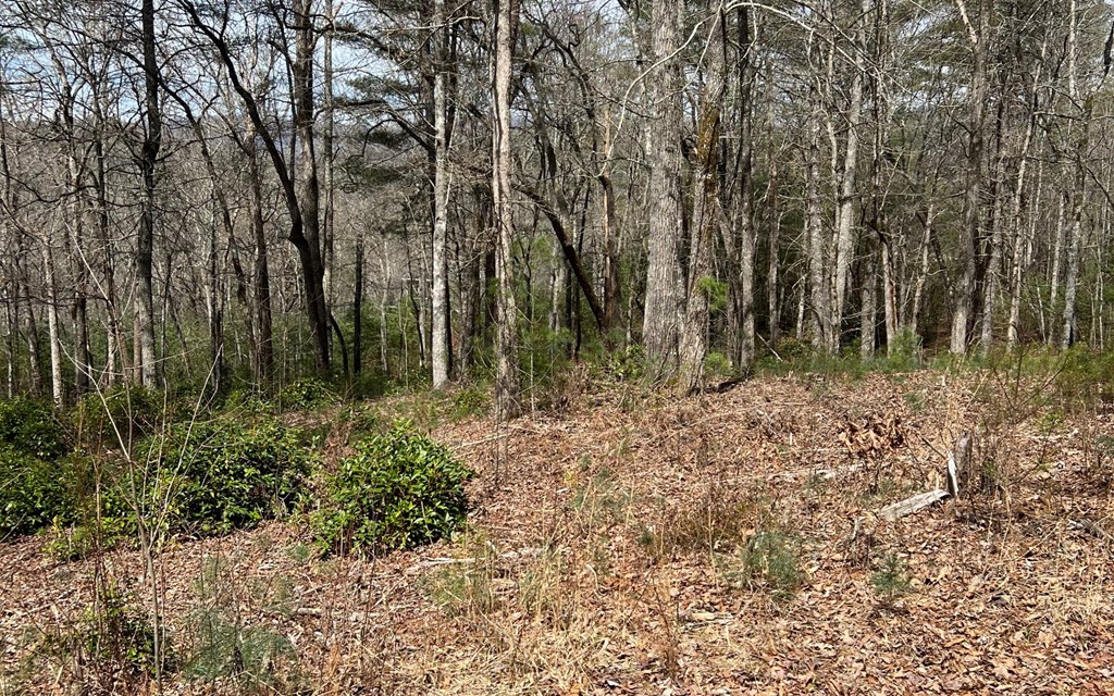 Lot E Timber Ridge #E, HAYESVILLE, North Carolina image 6