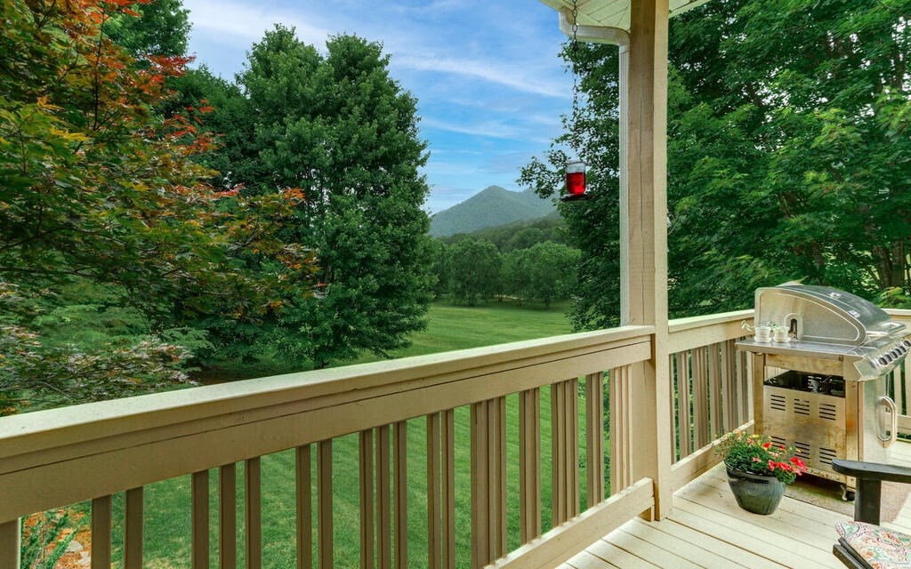 115 Country Club View, HAYESVILLE, North Carolina image 41