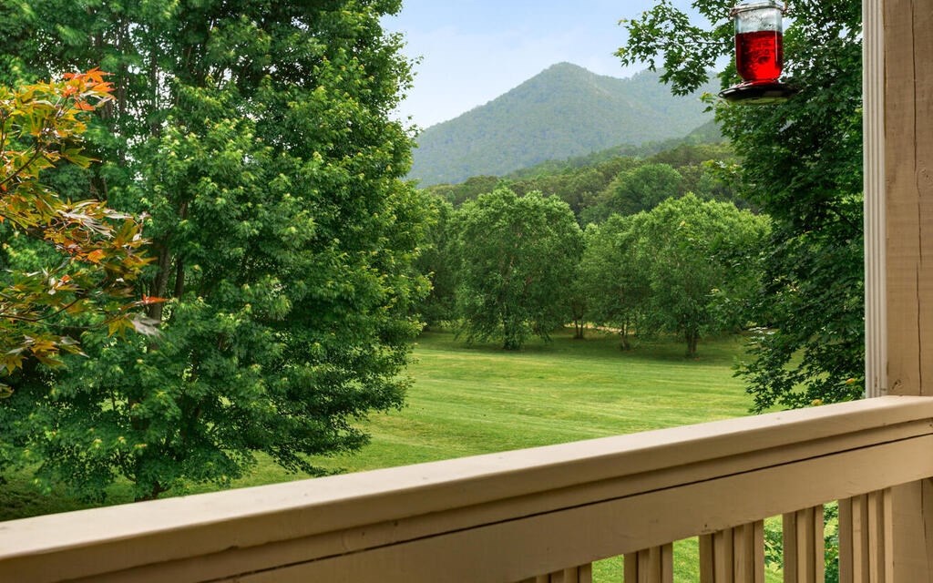 115 Country Club View, HAYESVILLE, North Carolina image 3