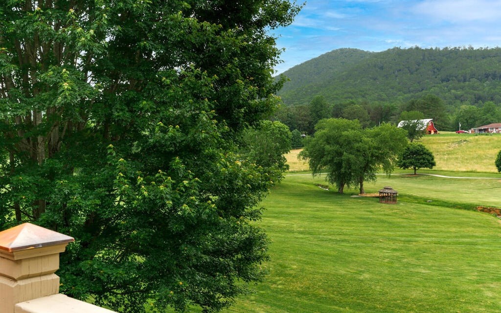 115 Country Club View, HAYESVILLE, North Carolina image 39