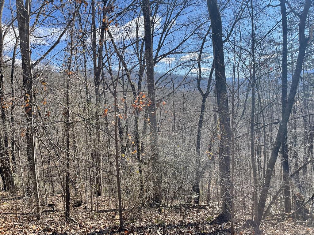 Lot  47J Grandview Drive #47J, HAYESVILLE, North Carolina image 2