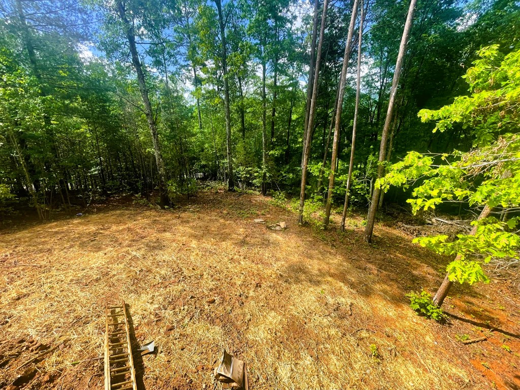 Lot 6 Chimney Top Trail, MURPHY, North Carolina image 14