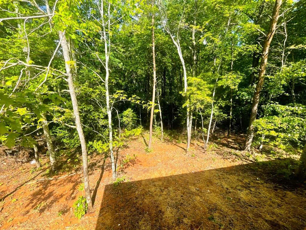 Lot 6 Chimney Top Trail, MURPHY, North Carolina image 15