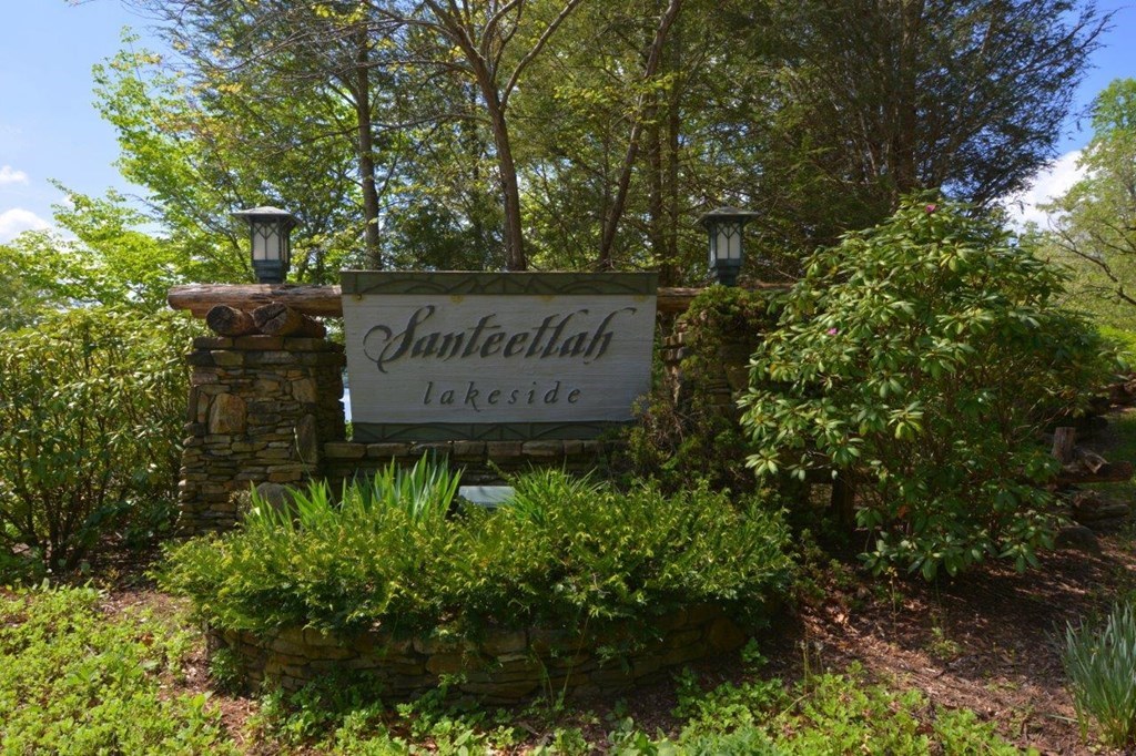 10 Santeetlah Lakeside, ROBBINSVILLE, North Carolina image 2