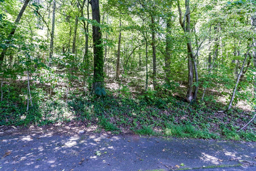 Lot 6 Kilpatrick Point Lane #6, HAYESVILLE, North Carolina image 5