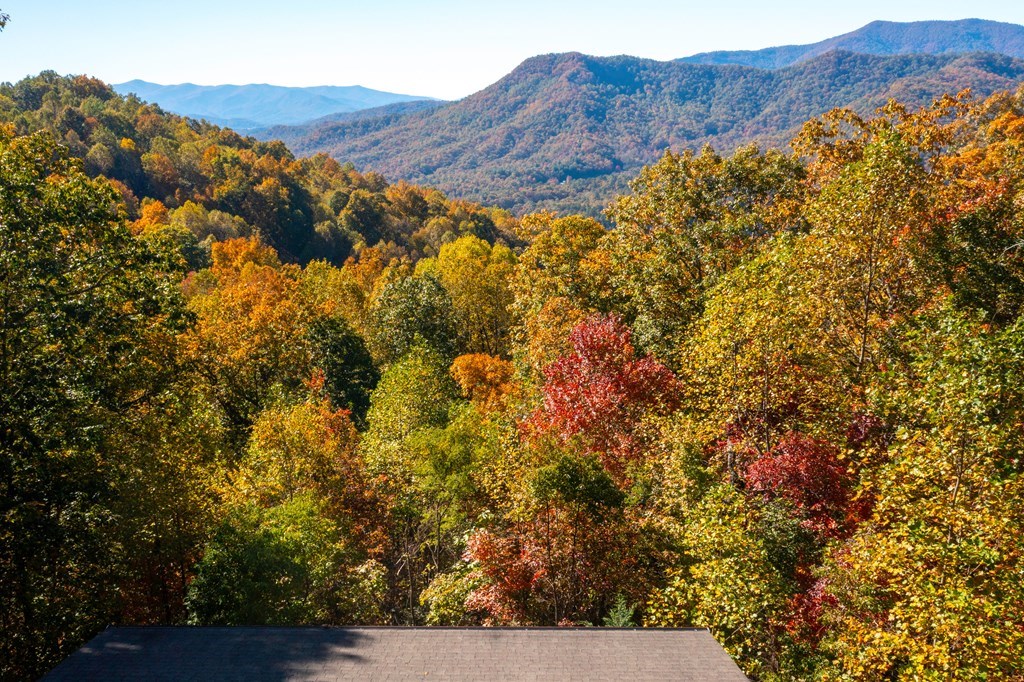 7031 Black Bear Trail, HIAWASSEE, Georgia image 45