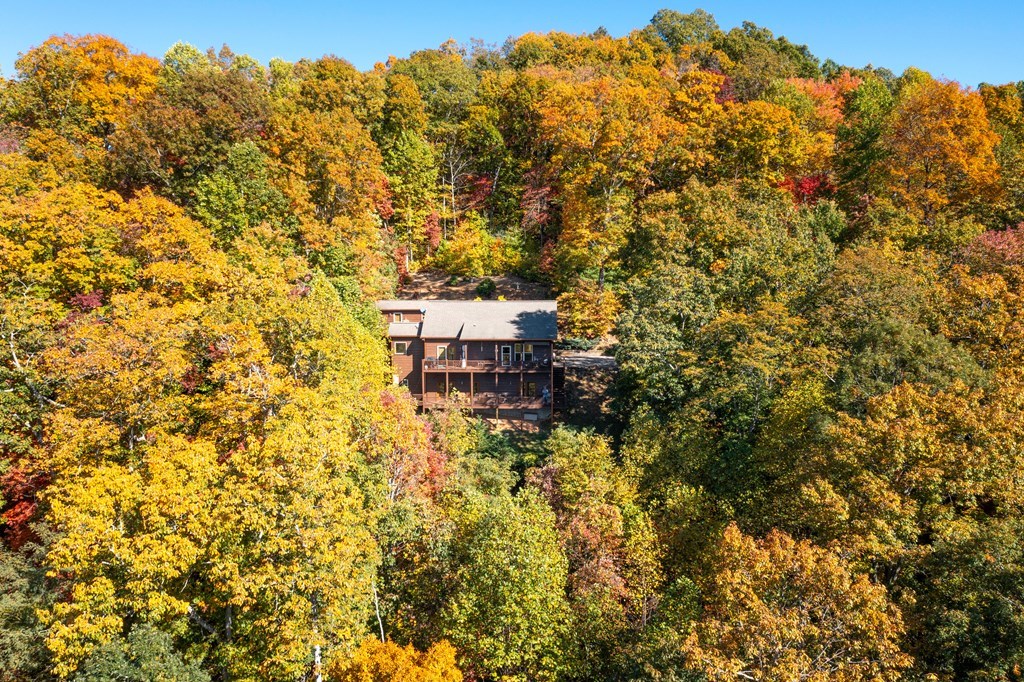 7031 Black Bear Trail, HIAWASSEE, Georgia image 44