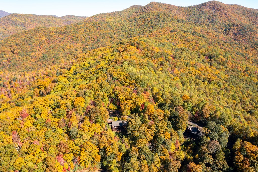 7031 Black Bear Trail, HIAWASSEE, Georgia image 8