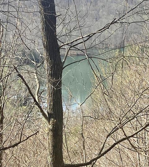 Vacant Land For Sale - 26 Hidden Falls Trail #26<br/> ROBBINSVILLE, NC 28771