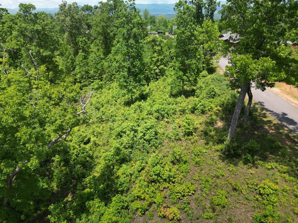 Lot 29 Paw Paw Trail, MURPHY, North Carolina image 3