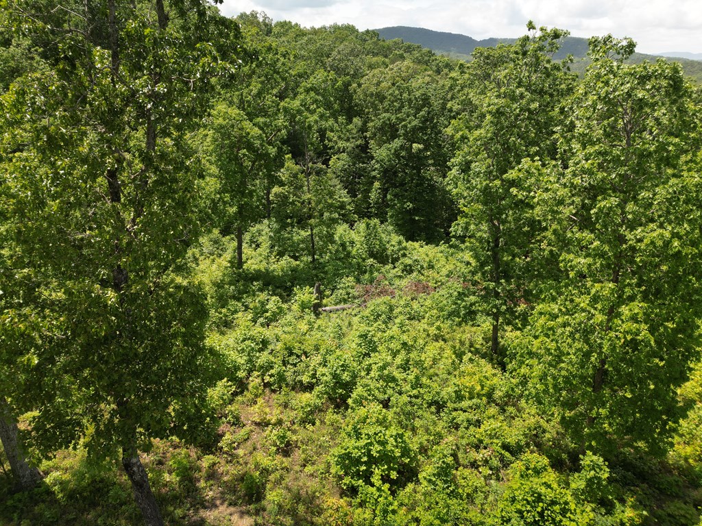 Lot 29 Paw Paw Trail, MURPHY, North Carolina image 7