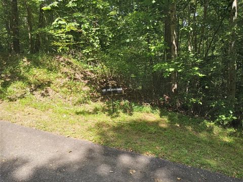 Vacant Land For Sale - 38C Ashe Branch Circle<br/> Clay County, HAYESVILLE, NC 28904