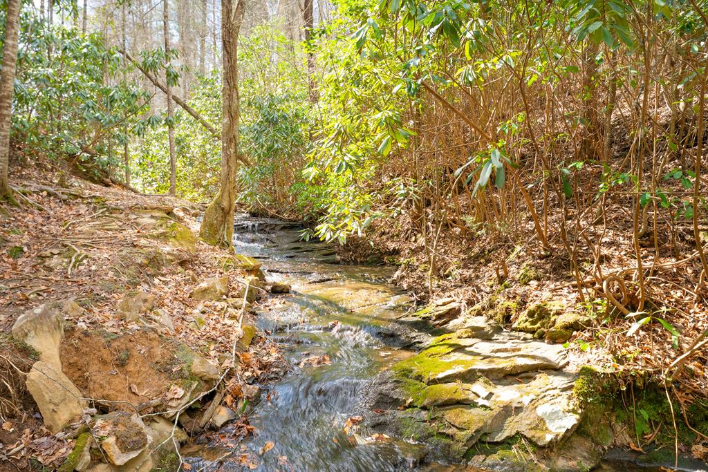 325 Trickling Branch Way, MURPHY, North Carolina image 1