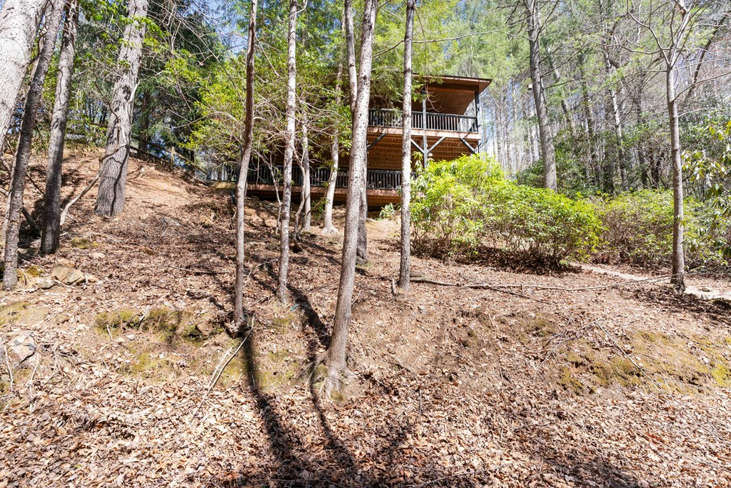 325 Trickling Branch Way, MURPHY, North Carolina image 40