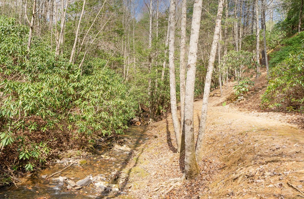 325 Trickling Branch Way, MURPHY, North Carolina image 3