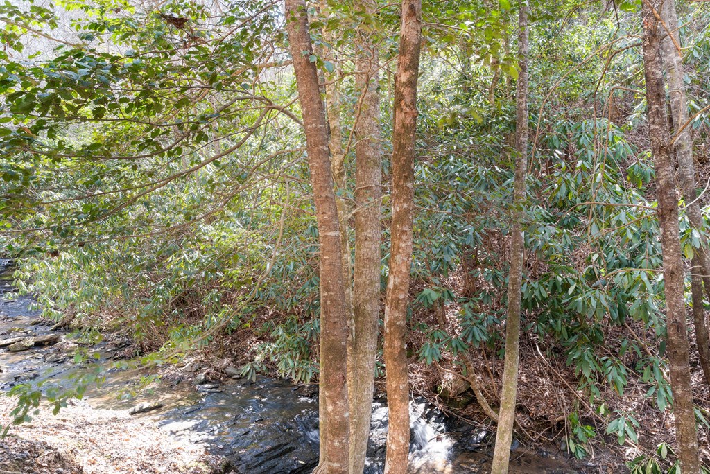 325 Trickling Branch Way, MURPHY, North Carolina image 41