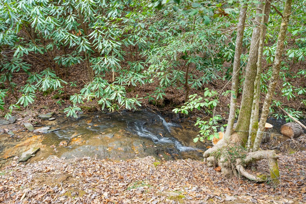 325 Trickling Branch Way, MURPHY, North Carolina image 5