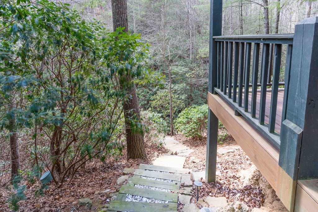 325 Trickling Branch Way, MURPHY, North Carolina image 38
