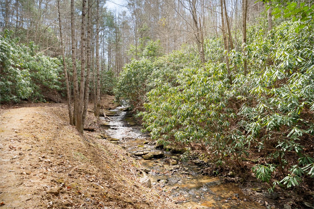 325 Trickling Branch Way, MURPHY, North Carolina image 4
