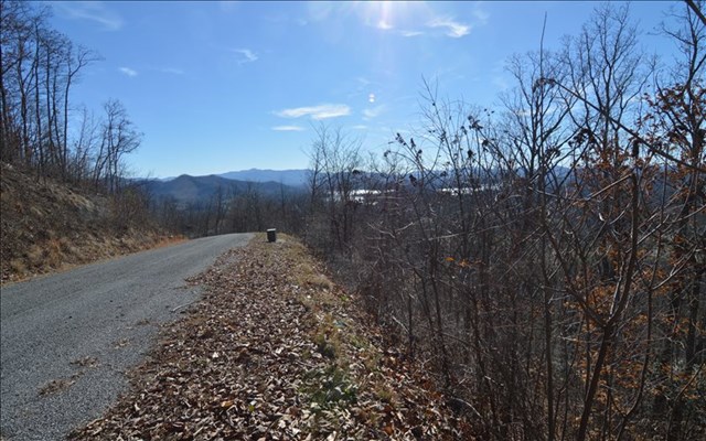 Lot 60M Mountain Harbour #60M, HAYESVILLE, North Carolina image 3