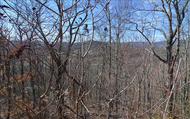 Lot 60M Mountain Harbour #60M, HAYESVILLE, North Carolina image 5
