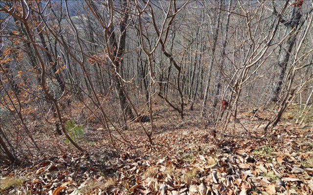 Lot 60M Mountain Harbour #60M, HAYESVILLE, North Carolina image 7