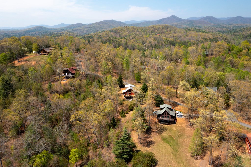 420 Birchwood Circle, MURPHY, North Carolina image 4