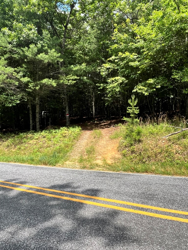 00 Pine Log Church Road, BRASSTOWN, North Carolina image 7