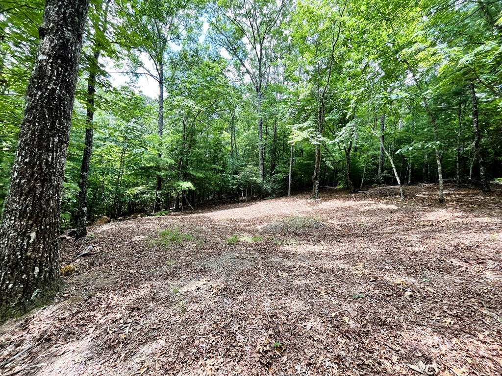 00 Pine Log Church Road, BRASSTOWN, North Carolina image 17