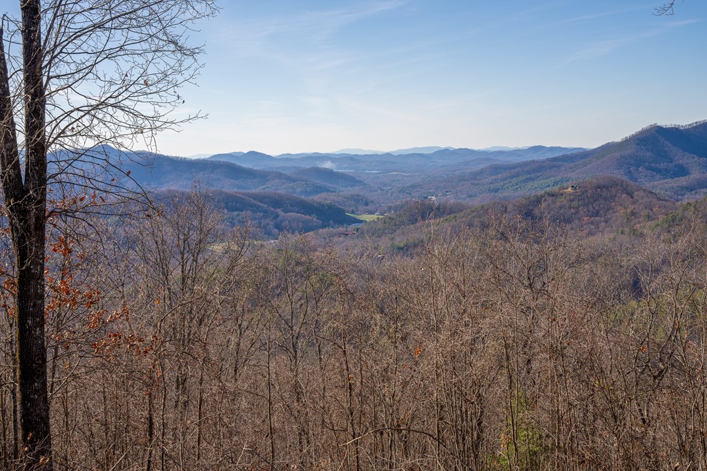 Lt 12/13 Skyview Drive #12+13, HAYESVILLE, North Carolina image 5