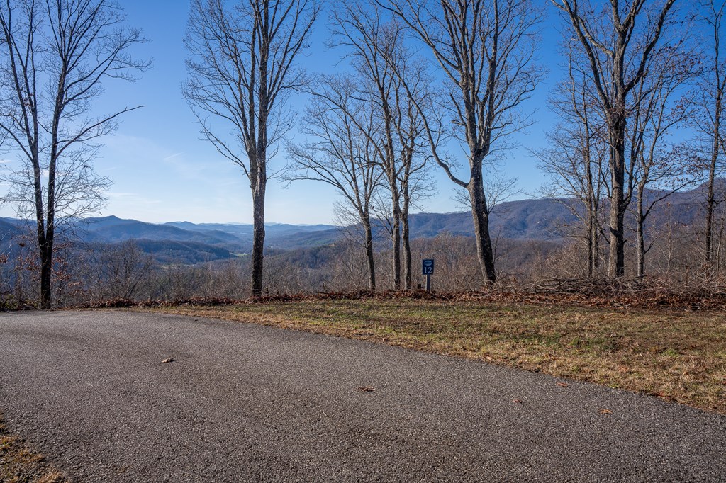 Lt 12/13 Skyview Drive #12+13, HAYESVILLE, North Carolina image 8