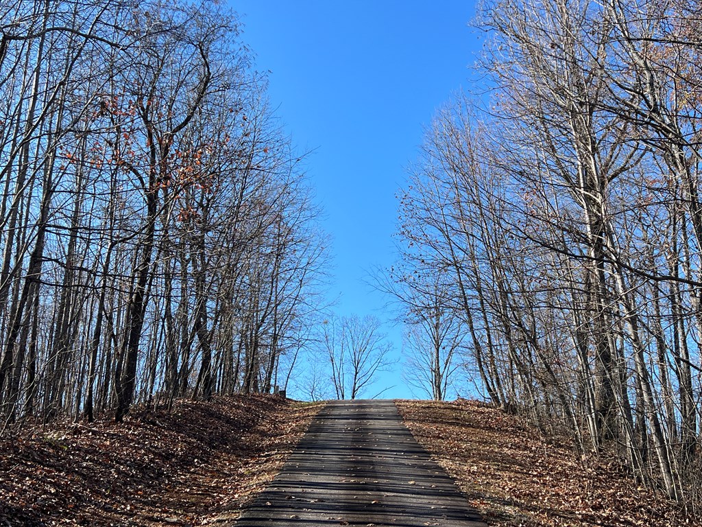 Lt 12/13 Skyview Drive #12+13, HAYESVILLE, North Carolina image 2