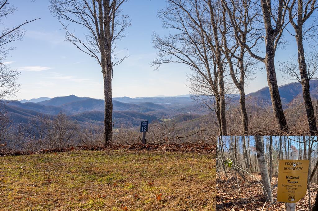 Lt 12/13 Skyview Drive #12+13, HAYESVILLE, North Carolina image 1