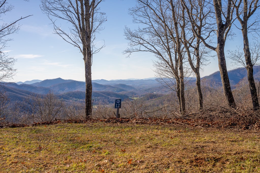 Lt 12/13 Skyview Drive #12+13, HAYESVILLE, North Carolina image 3