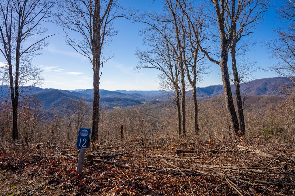 Lt 12/13 Skyview Drive #12+13, HAYESVILLE, North Carolina image 7