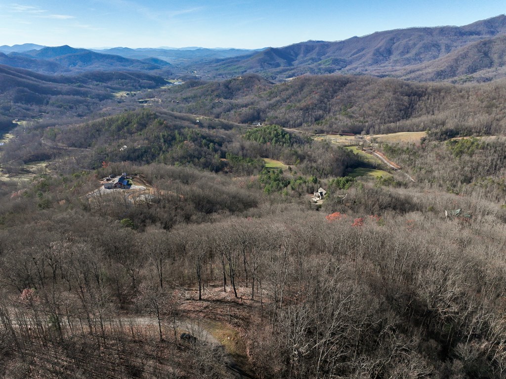 Lt 12/13 Skyview Drive #12+13, HAYESVILLE, North Carolina image 19