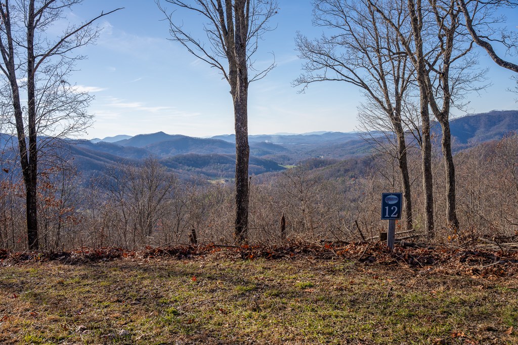 Lt 12/13 Skyview Drive #12+13, HAYESVILLE, North Carolina image 6