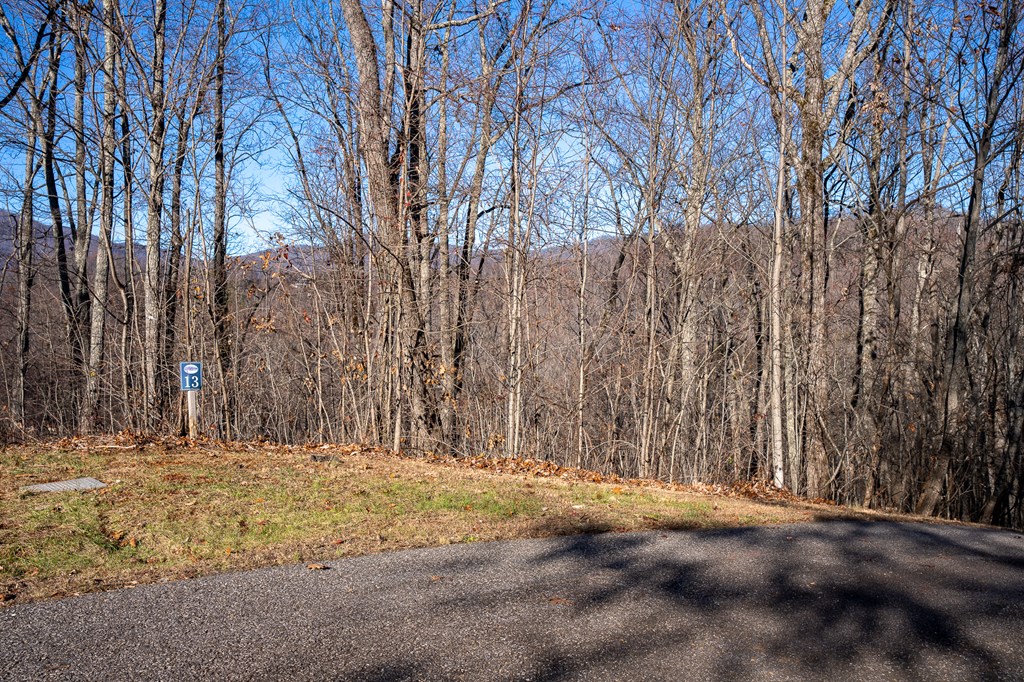 Lt 12/13 Skyview Drive #12+13, HAYESVILLE, North Carolina image 15