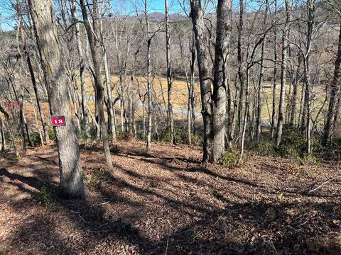 Vacant Land For Sale - LOT 18 Brasstown Trails #18<br/> WARNE, NC 28909