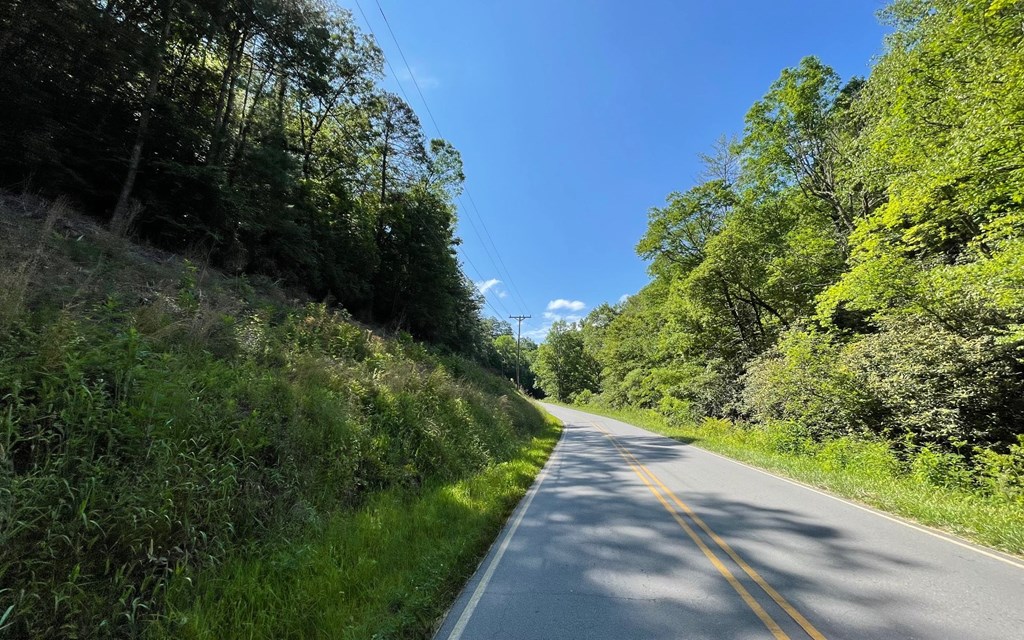 Lot 2 Fires Creek Road #2, HAYESVILLE, North Carolina image 9