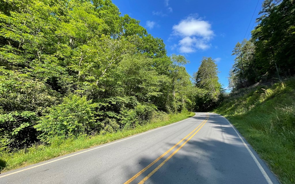 Lot 2 Fires Creek Road #2, HAYESVILLE, North Carolina image 13