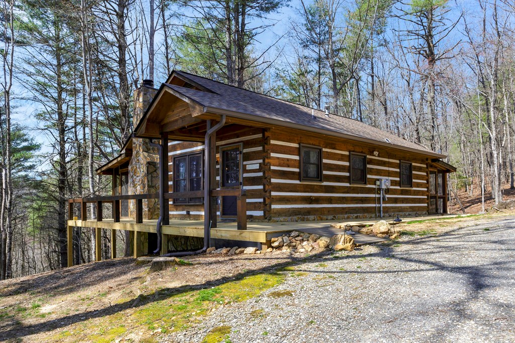 77 Dogwood Path Trail, BLUE RIDGE, Georgia image 2